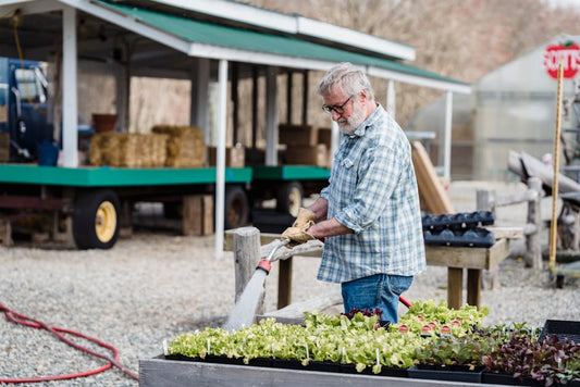 Making the Shift: How Men’s Organic Hair Care is Changing the Game